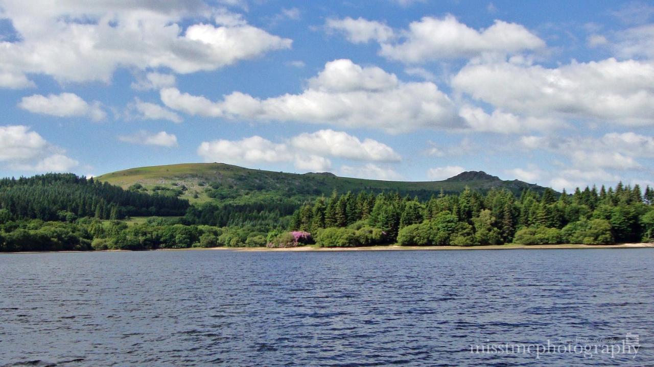 Dartmoor Reach Alpaca Farm Heated Cabins 5 Mins Drive To Dartmoor Bovey Tracey Extérieur photo