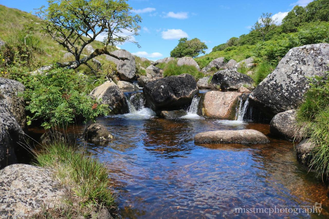 Dartmoor Reach Alpaca Farm Heated Cabins 5 Mins Drive To Dartmoor Bovey Tracey Extérieur photo