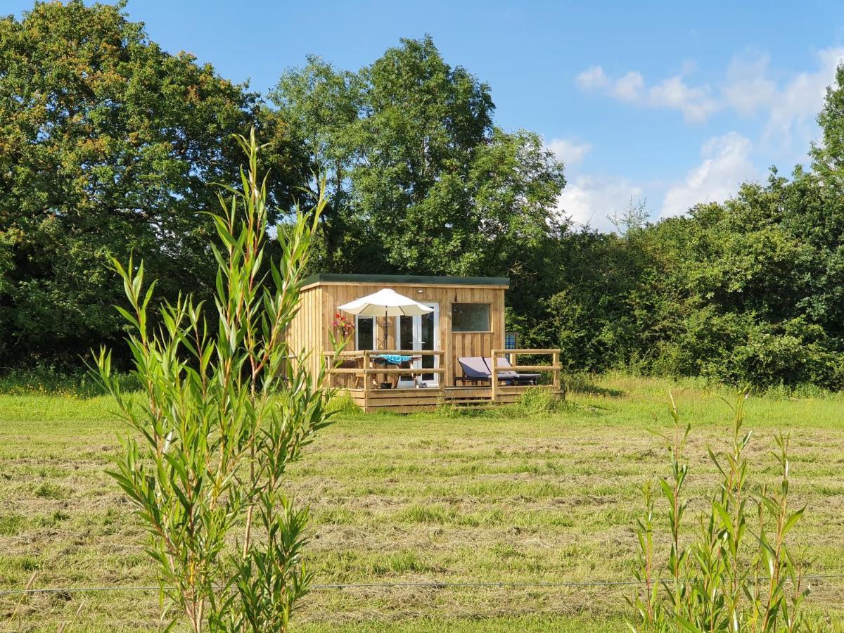Dartmoor Reach Alpaca Farm Heated Cabins 5 Mins Drive To Dartmoor Bovey Tracey Extérieur photo