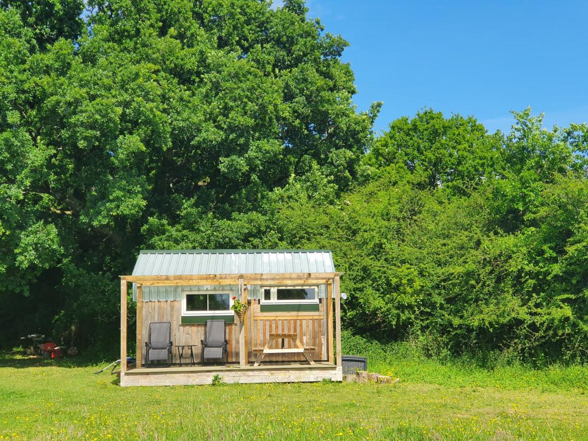 Dartmoor Reach Alpaca Farm Heated Cabins 5 Mins Drive To Dartmoor Bovey Tracey Extérieur photo