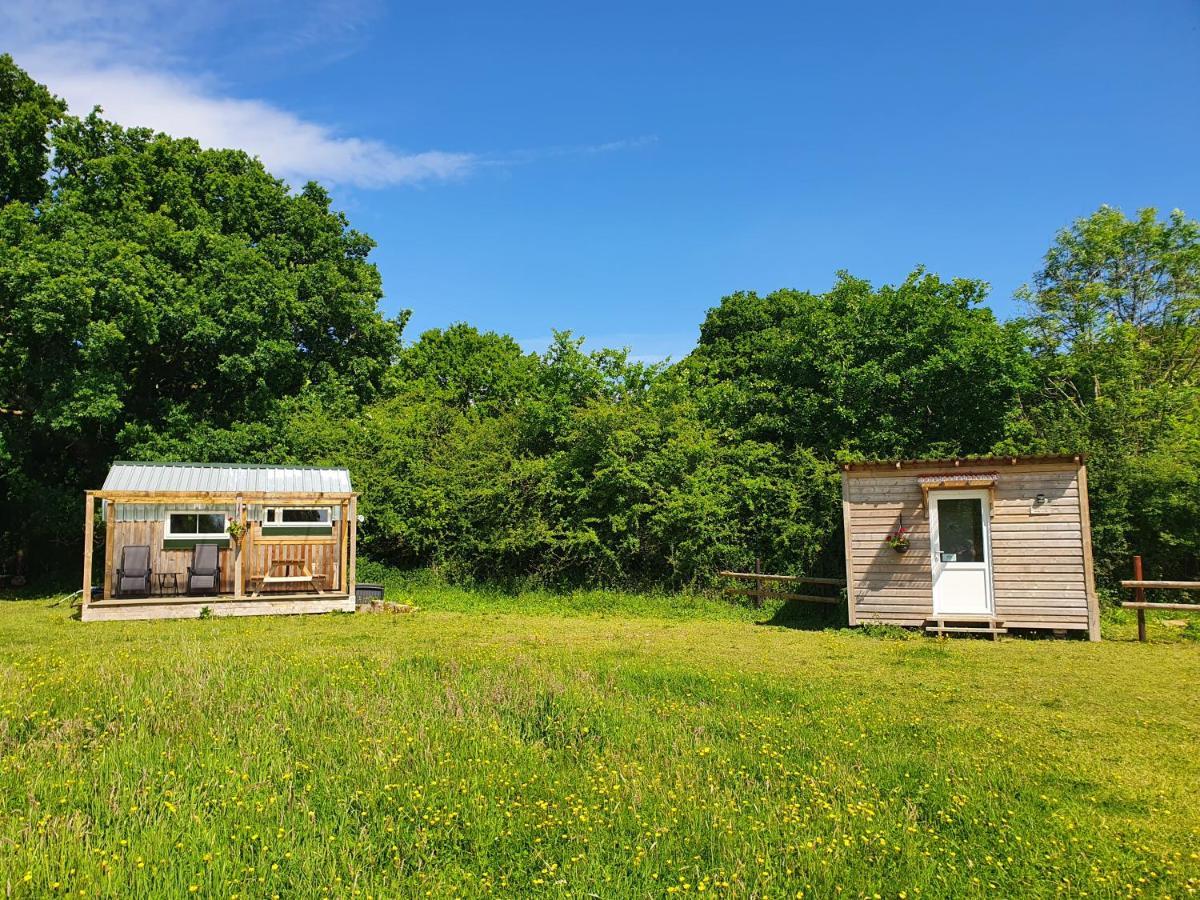 Dartmoor Reach Alpaca Farm Heated Cabins 5 Mins Drive To Dartmoor Bovey Tracey Extérieur photo