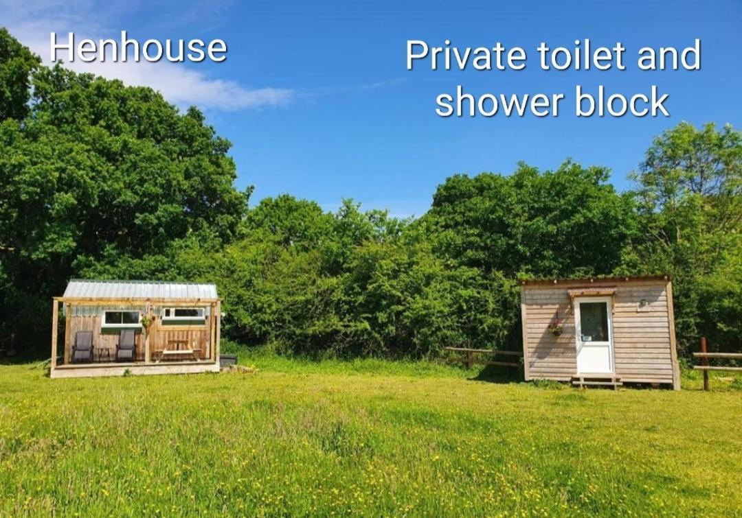 Dartmoor Reach Alpaca Farm Heated Cabins 5 Mins Drive To Dartmoor Bovey Tracey Chambre photo