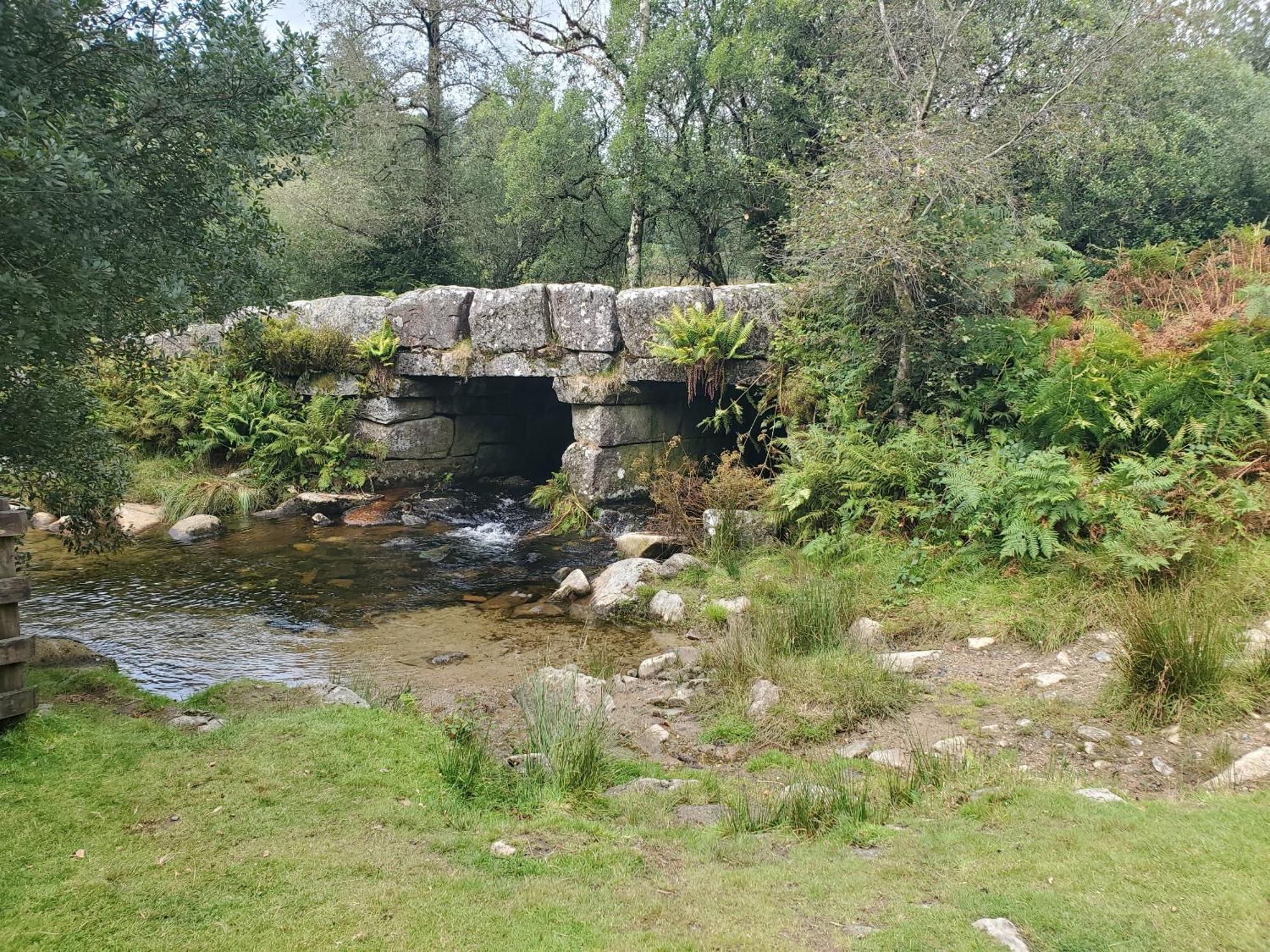 Dartmoor Reach Alpaca Farm Heated Cabins 5 Mins Drive To Dartmoor Bovey Tracey Extérieur photo