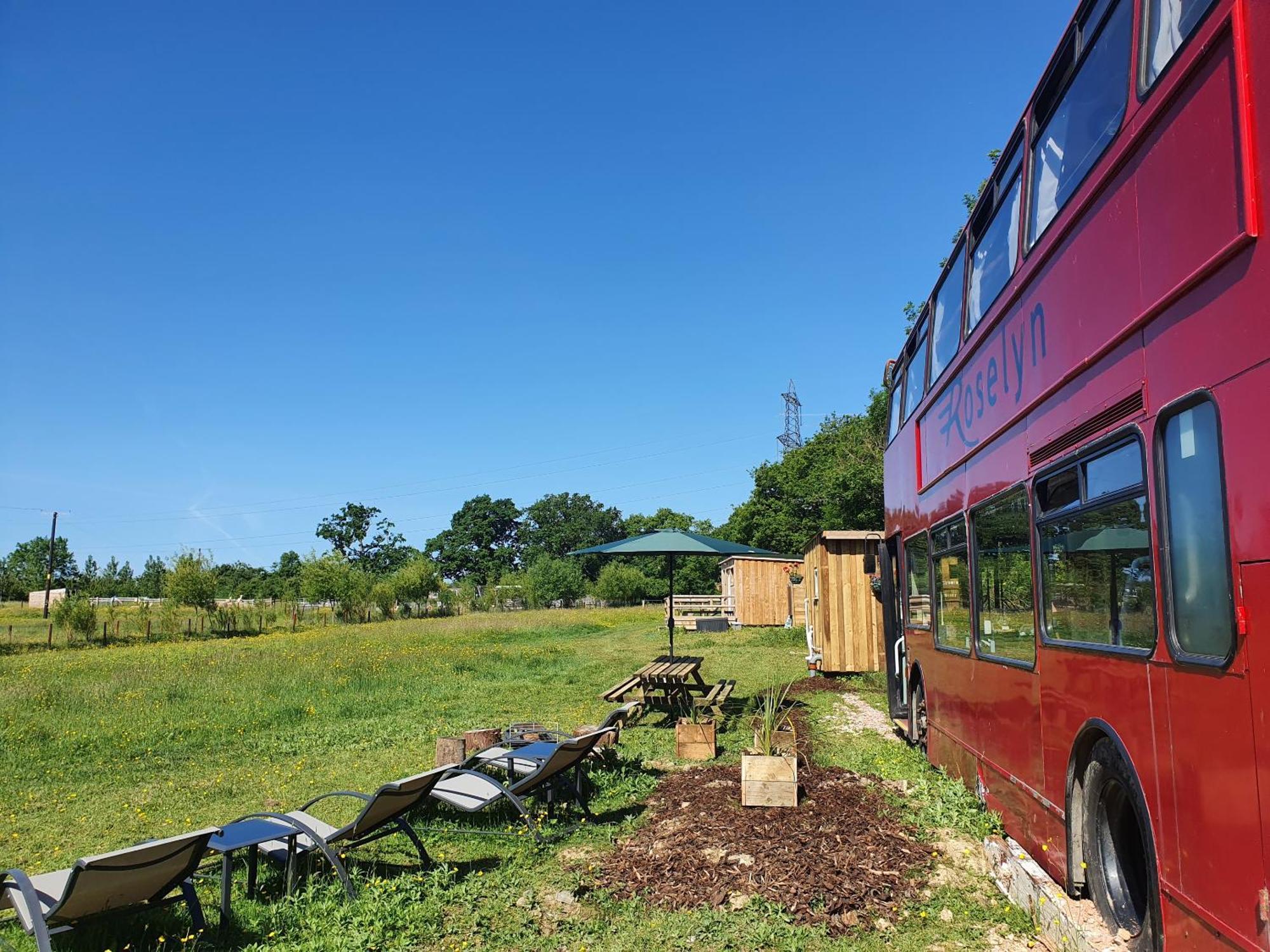Dartmoor Reach Alpaca Farm Heated Cabins 5 Mins Drive To Dartmoor Bovey Tracey Extérieur photo